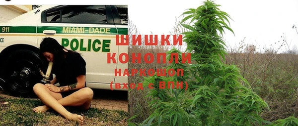каннабис Арсеньев