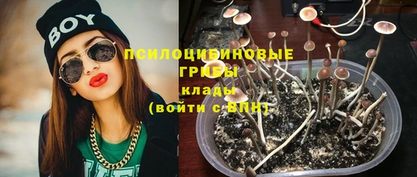 каннабис Арсеньев
