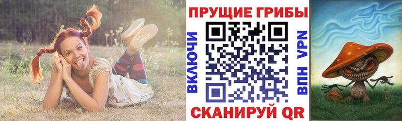 Галлюциногенные грибы мухоморы  Приволжск 